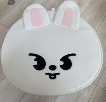 straykids 리노 부채 커버