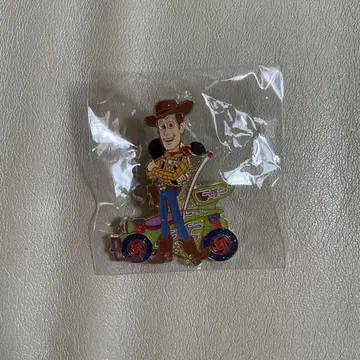 디즈니 하모니 인 컬러 핀 배지 우디