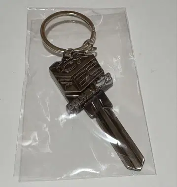아이묭 돌핀 아파트 키링