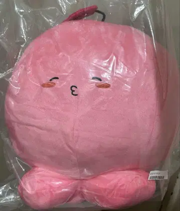 [당일 발송] 타코피의 원죄 타코피 BIG 봉제 인형 해피 꽃 1점
