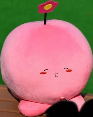 [당일 발송] 타코피의 원죄 타코피 BIG 봉제 인형 해피 꽃 1점