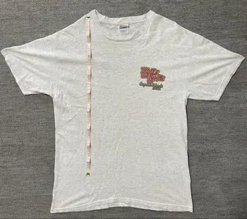 Hanes Heavyweight crocodile rock 그레이 T