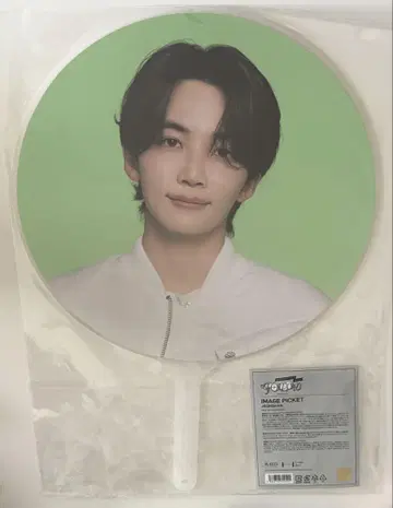 seventeen 정한 부채