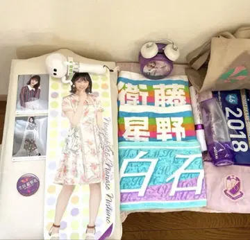 노기자카 라이브 굿즈