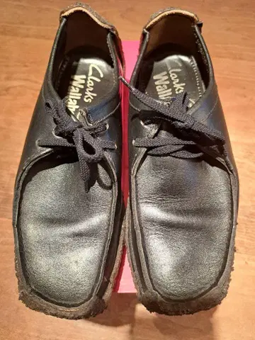 Clarks 나탈리 아일랜드 제