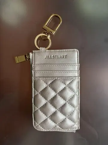 JILL STUART 실버 프래그먼트 케이스