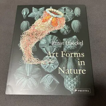 Art Forms in Nature