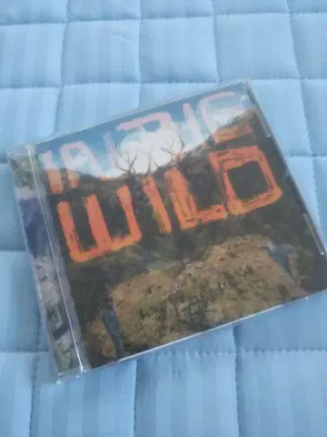 국내반 오비 포함 FALTYDL - IN THE WILD
