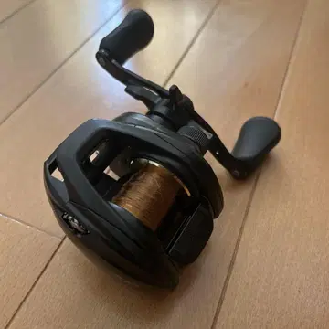 Daiwa PR100