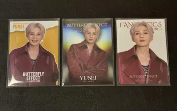 야기 유세이 포토 카드 시크릿