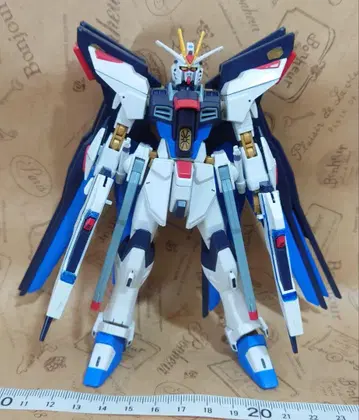 HG 스트라이크 프리덤 건담 건담 프라모델 정크