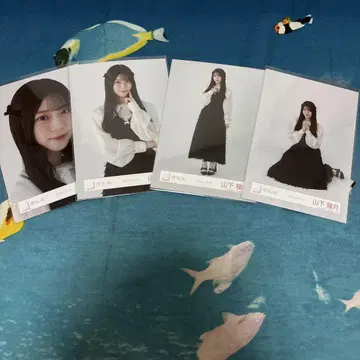 사쿠라자카46 야마시타 시즈키 클래식 코디 4종 컴프 브로마이드