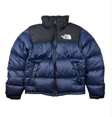 THE NORTH FACE 눕시 다운 자켓 700