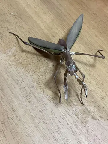 반다이 가샤폰 생물대도감 왕사마귀(갈색)