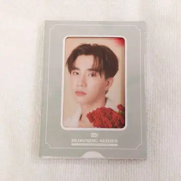 GMMTV BLOOMING SERIES (사진 세트) Perth