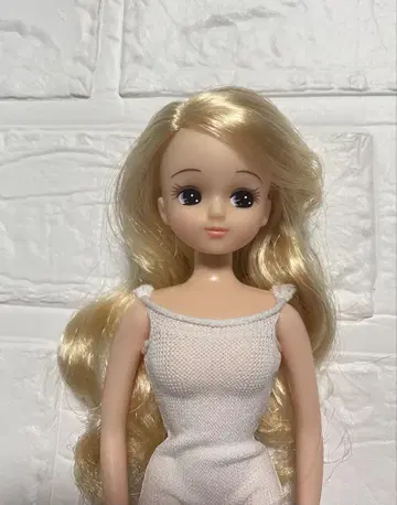 리카짱 캐슬 리카짱