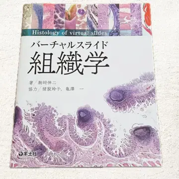 버추얼 슬라이드 조직학