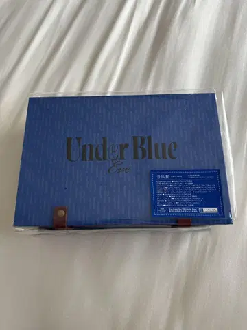 즉시 구매 eve underblue 파랑 밑판