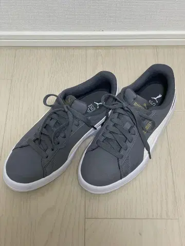 PUMA 푸마 스카이 라이트 S. 스웨이드