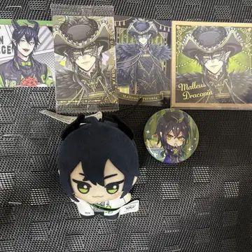 트위스테 말레우스 묶음 판매