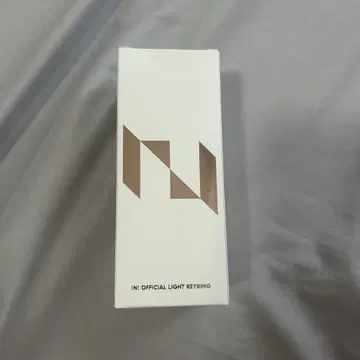INI OFFICIAL LIGHT KEYRING