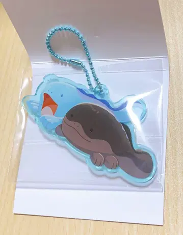 포켓몬 닮은꼴 아크릴 참 컬렉션 누오 도오