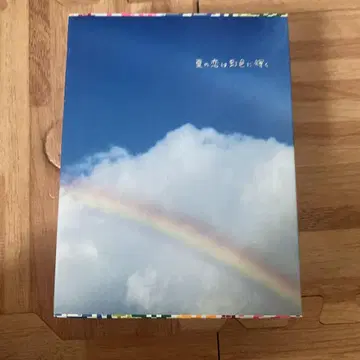 여름날의 사랑은 무지개색으로 빛난다