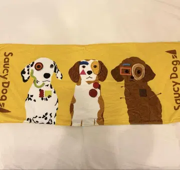 Saucy Dog 타월 라이브