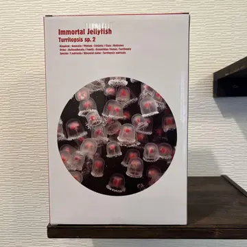 BE@RBRICK Immortal Jellyfish Turritopsis