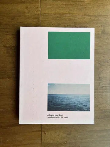 A Brand New End: - Carmen Winant