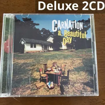 a Beautiful Day Deluxe Edition CARNATION