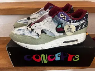 CONCEPTS Air Max 1 멀티 컬러