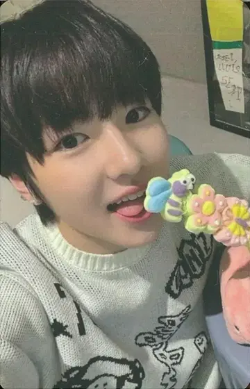 NCT WISH kfunshop SAKUYA wishlist