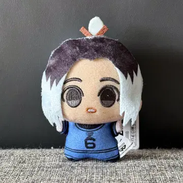 블루 록 아가마루 긴 애니메이션 스타일 봉제인형 팀 11cm