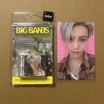 웨이션 WayV BIG BANDS SMini 양양