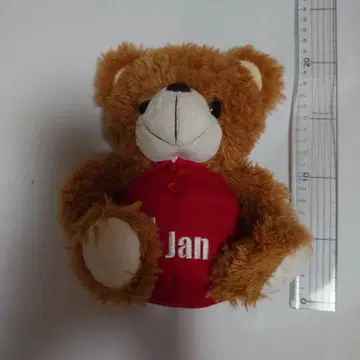 갈색 곰돌이 봉제인형 빨간 옷 Jan 오르골 (세상에 하나뿐인 꽃)