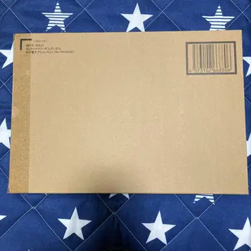 METAL BUILD 스트라이크 프리덤 건담 빛의 날개 옵션 세트