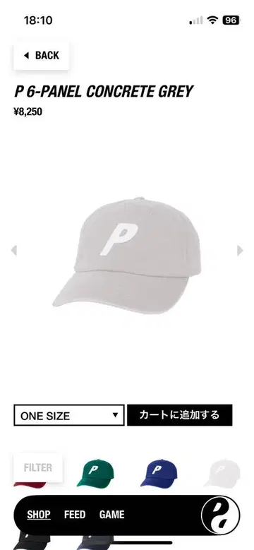 palace 팔라스 P 6-PANEL GREY