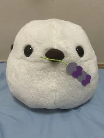 시마에나가 BIG 봉제 인형 라벤더