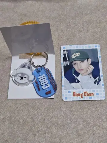 straykids 스키즈 방찬 팝업 키링 포토 카드