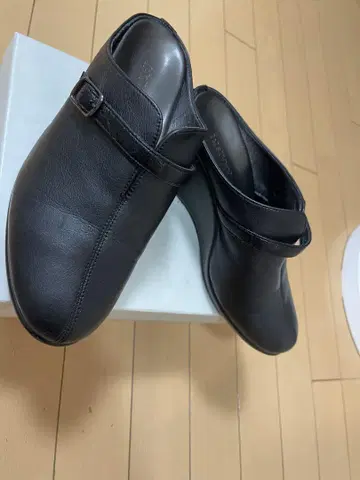 AKAISHI 아카이시 아치 피터 크로그 M 사이즈