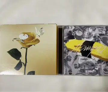 아이묭 CD 맛있는 파스타가 있다고 해서 tamago