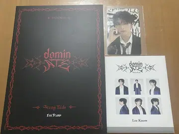 dominATE LeeKnow 3세트