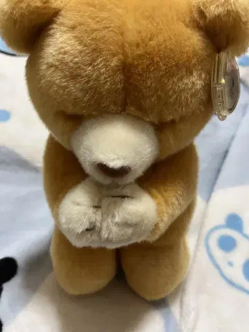 ty 봉제 인형 곰
