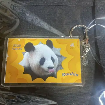 어드벤처월드 팬더 한정 키링 라우힌 패밀리
