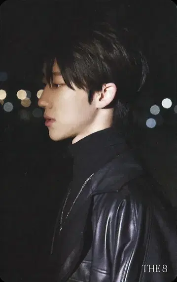 SEVENTEEN HMV 디에잇 FACE THE SUN