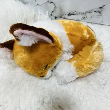 쪼콘토 여우 키나코 아카키츠네 봉제 인형 택 포함 새상품급