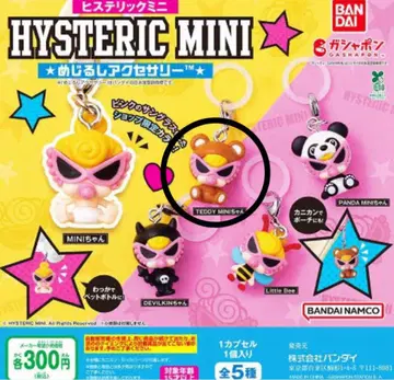 히스미니 메지루시 액세서리 TEDDY MINI