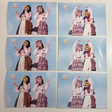 컬러풀피치 카라피치 노아 에토 실사 브로마이드 파라피치