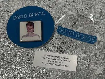 David Bowie 핀즈